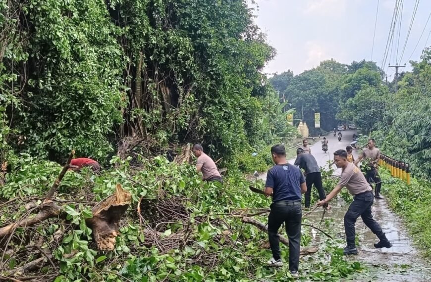 Polsek Cikeusal Gerak Cepat Tangani Pohon Tumbang&hellip;