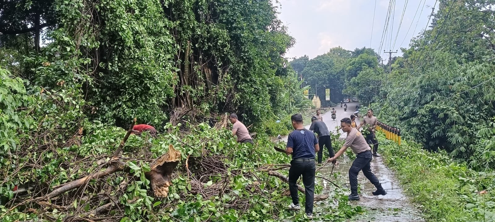 Polsek Cikeusal Gerak Cepat Tangani Pohon Tumbang yang&hellip;