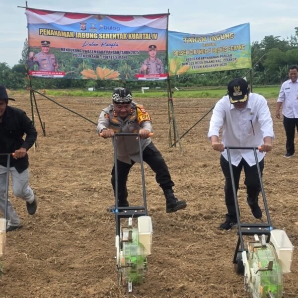 Kapolres Tanam Jagung Seluas 2 Hektar Program…