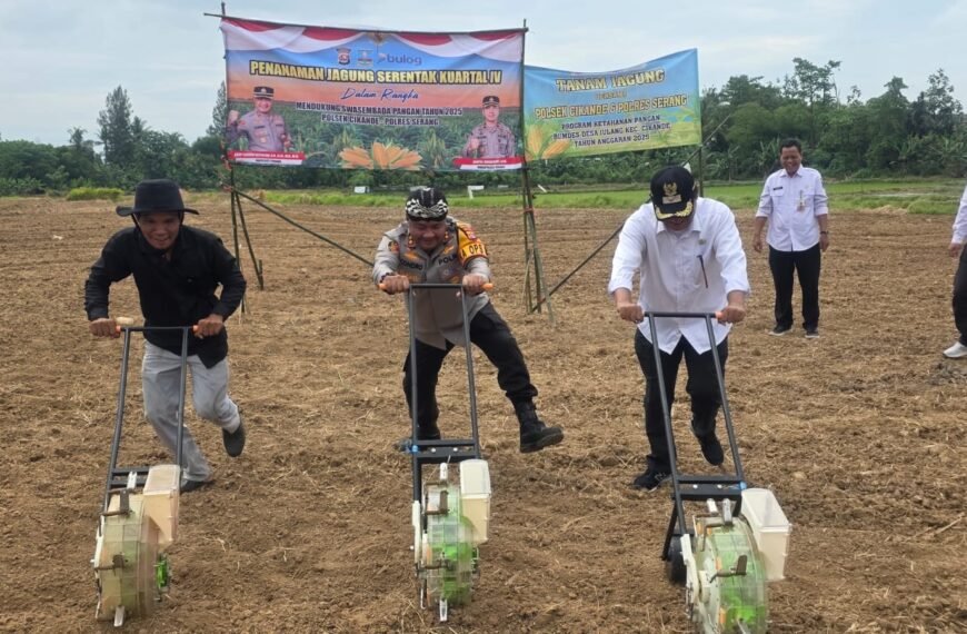 Kapolres Tanam Jagung Seluas 2 Hektar Program&hellip;