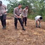 Polsek Pamarayan Tanam Jagung di&hellip;