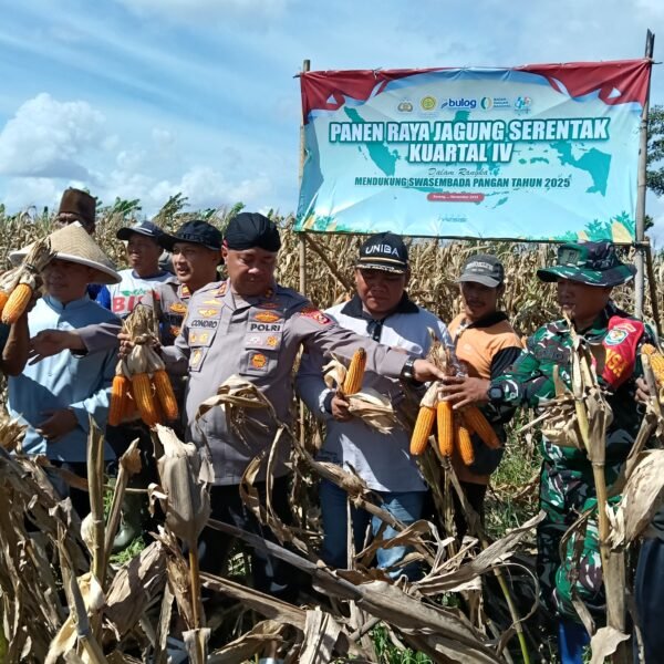 Kapolres Serang Panen Raya Jagung di Desa Cemplang&hellip;