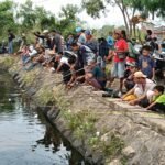Kembali Turunkan 1.000 Lele Indukan&hellip;