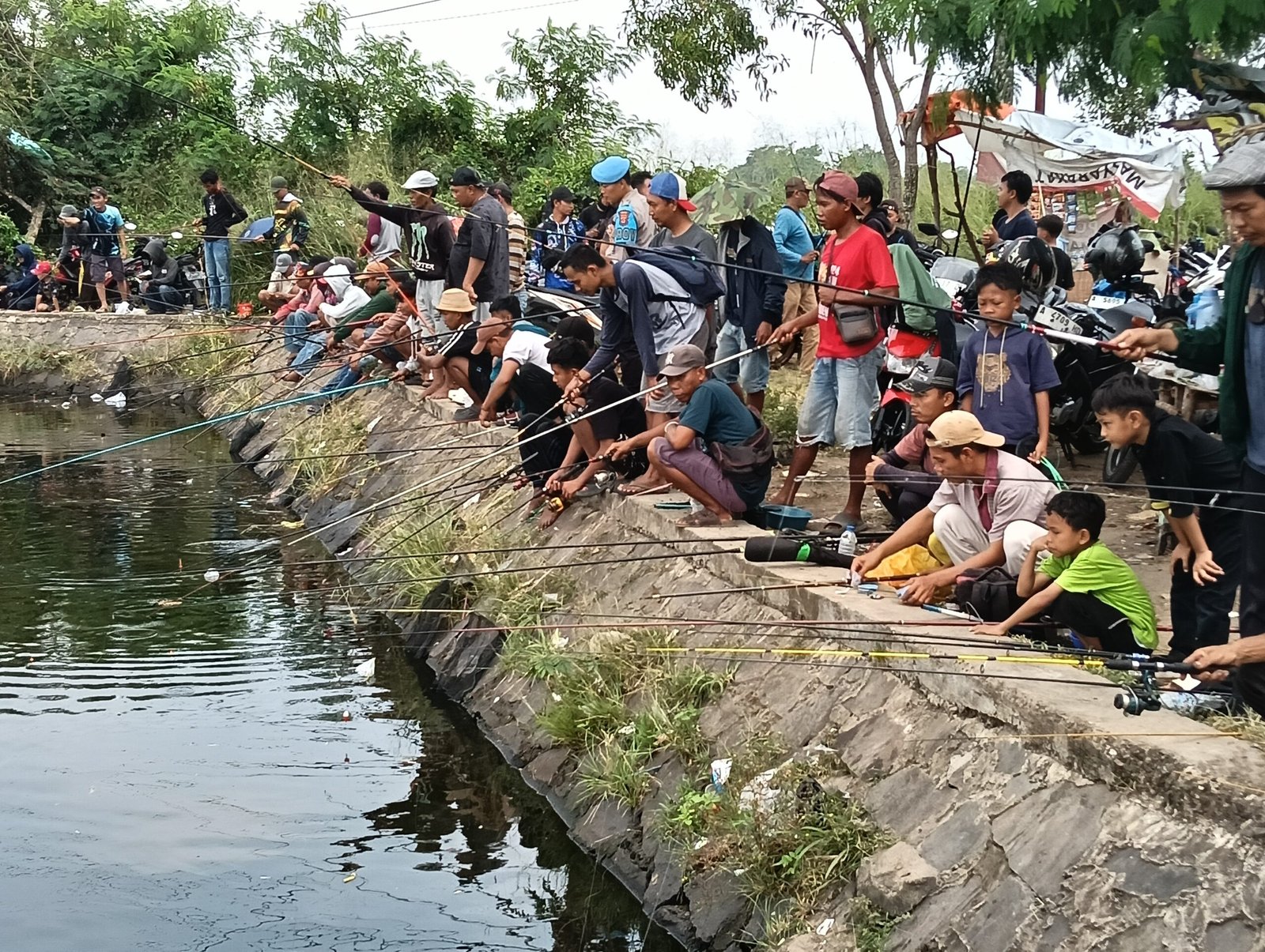 Kembali Turunkan 1.000 Lele Indukan dan 2 Kwintal&hellip;