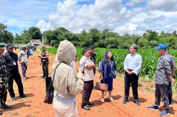 Kebun Jagung Program Ketahanan Pangan Binaan Kapolres Serang&hellip;