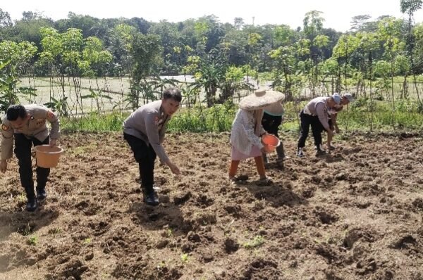 Polres Serang Gelar Penanaman Jagung pada Lahan PAT&hellip;