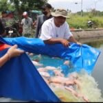 Lihat Kapolres Kembali Turunkan Ikan,&hellip;