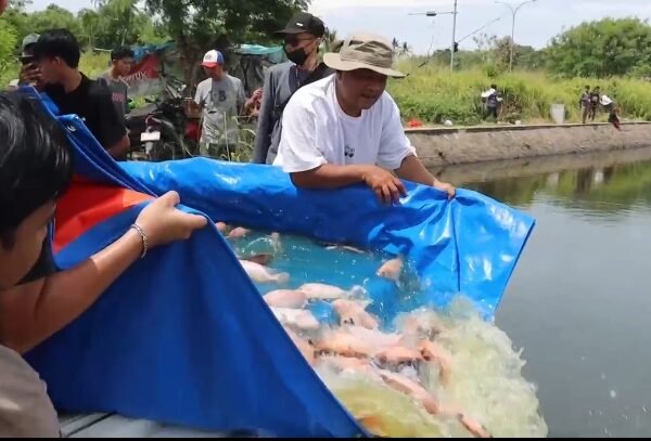 Lihat Kapolres Kembali Turunkan Ikan, Pemancing di Danau&hellip;