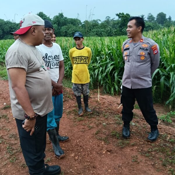 Kapolres Serang Tinjau Lahan Jagung Juara Nasional, Target&hellip;