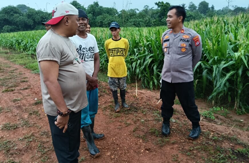 Kapolres Serang Tinjau Lahan Jagung&hellip;
