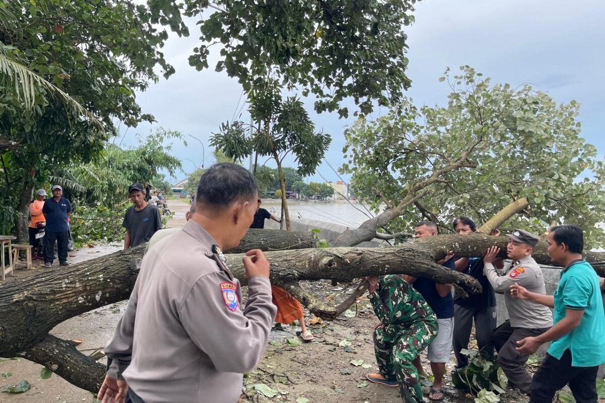 Respon Cepat Polsek Kragilan Atasi Pohon Tumbang&hellip;