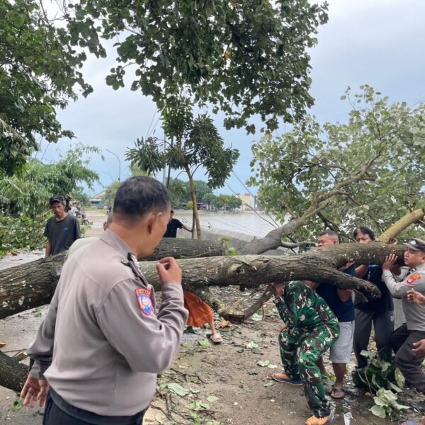 Respon Cepat Polsek Kragilan Atasi Pohon Tumbang Tutup&hellip;