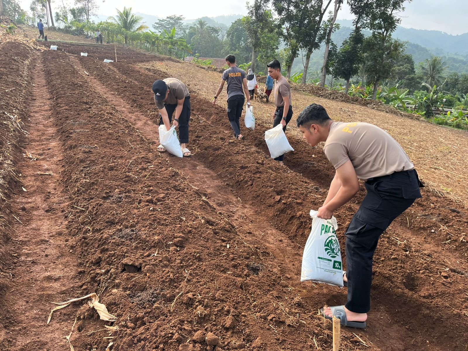 Libatkan Bakomsus, Polda Jabar Siap Tanam Jagung dan&hellip;