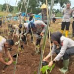 Ketahanan Pangan SDM Polda Jabar&hellip;