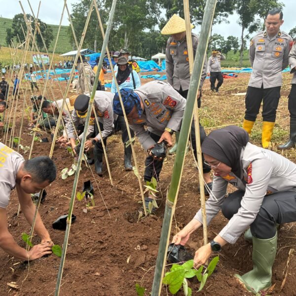Ketahanan Pangan SDM Polda Jabar Jadikan Uwi Ungu&hellip;