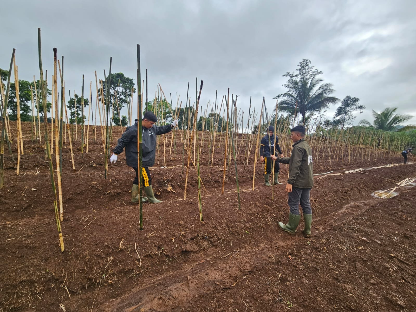 Dukung Ketahanan Pangan, Biro SDM Polda Jabar Garap&hellip;