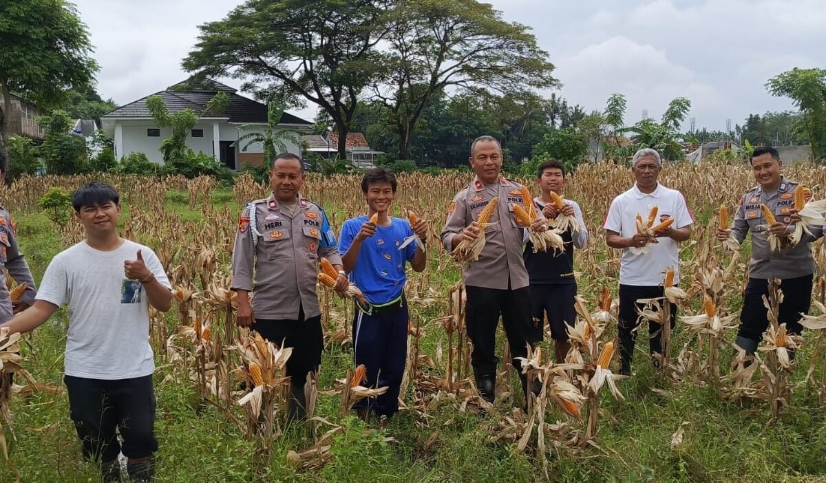 Optimalisasi Lahan Perumahan, Polsek Ciruas Sukses Panen&hellip;