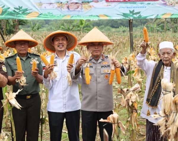 Kapolda Banten Pimpin Panen Raya Jagung Serentak Kuartal&hellip;