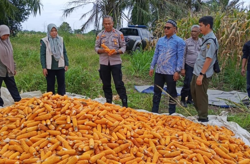 Panen 30 Ton Jagung di&hellip;
