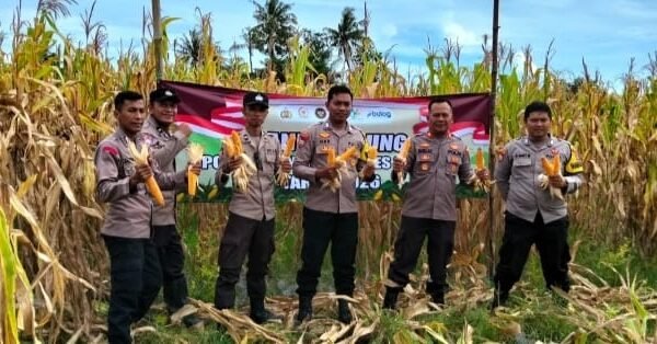 Polsek Pontang Bersama Poktan Sri Tani Panen&hellip;