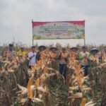 Dukung Ketahanan Pangan, Polsek Jawilan&hellip;