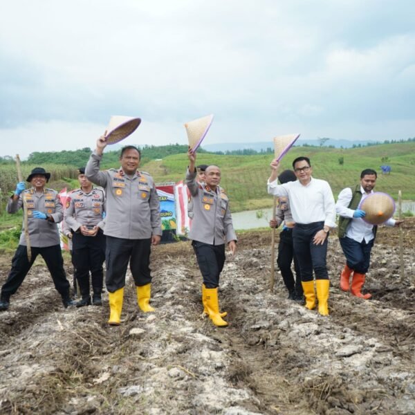 Kapolri Puji Program Penanaman Jagung Polda Jabar, Dinilai…