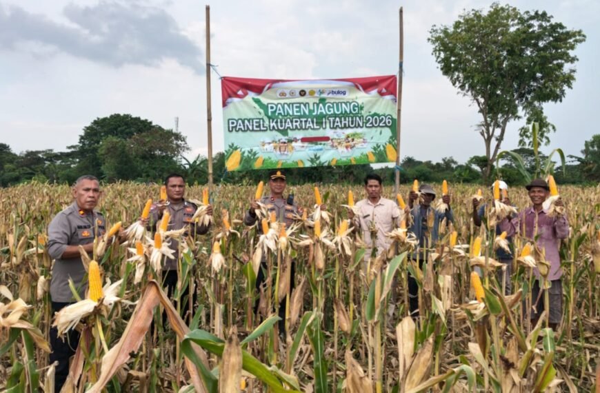 Panen Jagung Kuartal I, Polsek Kragilan Dukung&hellip;