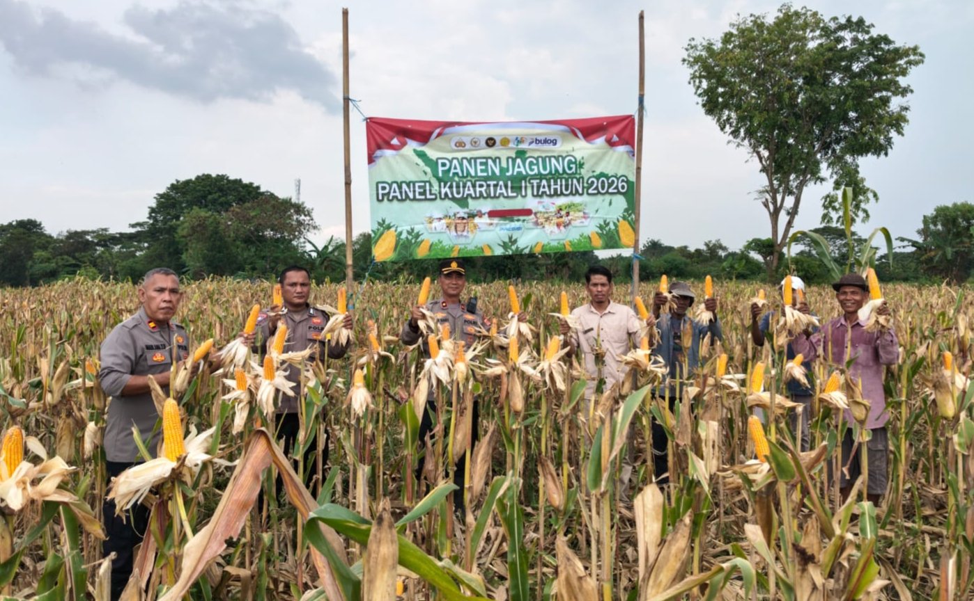 Panen Jagung Kuartal I, Polsek Kragilan Dukung Program&hellip;