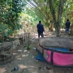 Panik Arena Sabung Ayam Digerebek,&hellip;
