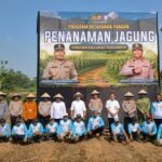 Kapolda Banten Tanam Jagung di Lahan Ditlantas Seluas 3 Hektare
