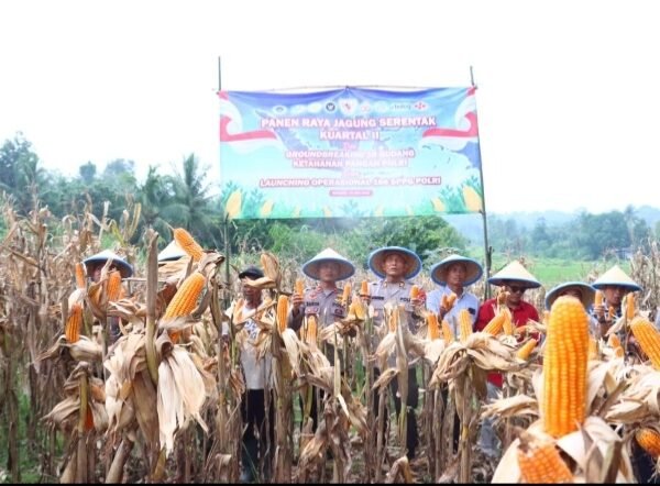 Polres Serang dan Kelompok Tani Kopo Panen&hellip;