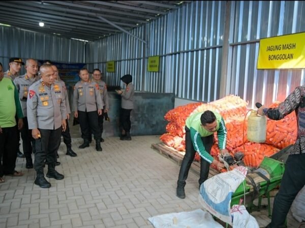 Tinjau Kelompok Tani Binaan Polres Garut, Kapolda Dorong…