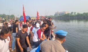 Oplus_131072