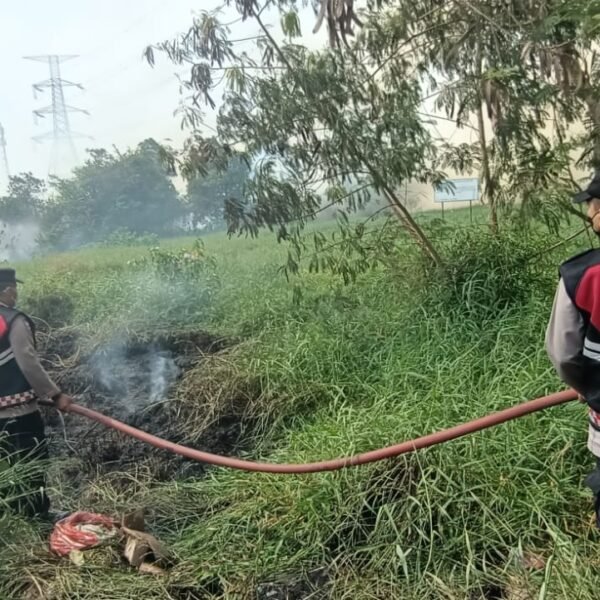 Aksi Cepat Tim Satgas Karhutla dan Damkar…