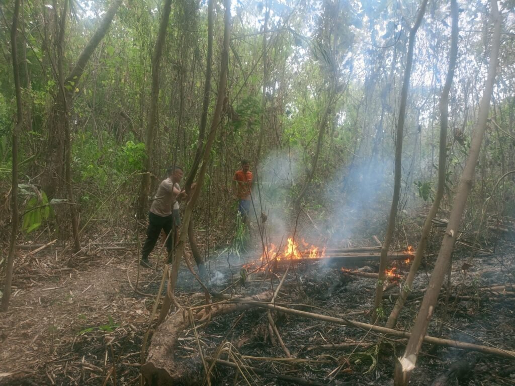 IMG-20260811-WA0004