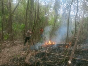 IMG-20260811-WA0004