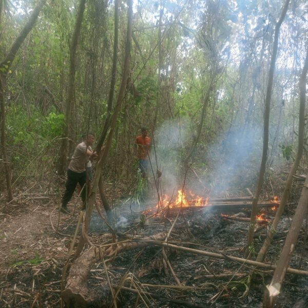 Gerak Cepat Polisi, Kebakaran Lahan di Kebon…