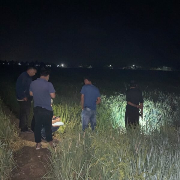 Diduga Kesiangan, Pencuri Tinggalkan 36 Kambing yang…