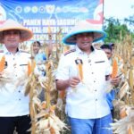 Panen 20 Ton Jagung, Polda…
