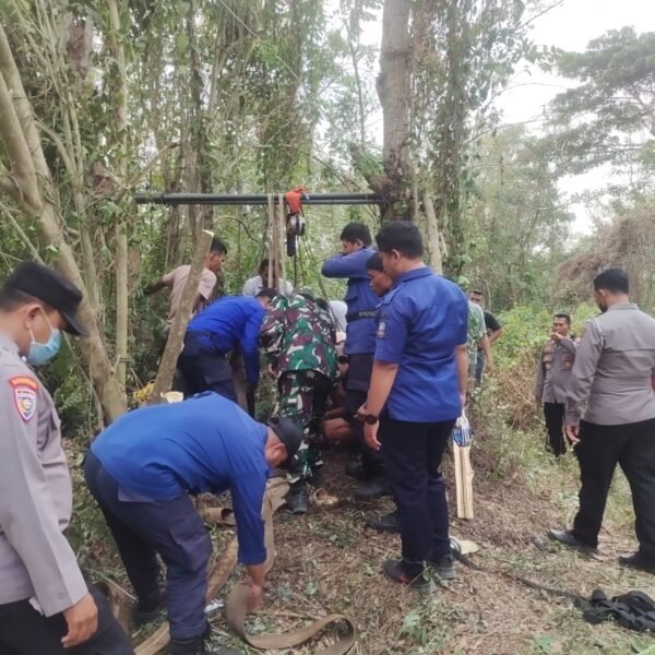 Polisi dan Damkar Evakuasi Kerbau yang Terperosok…