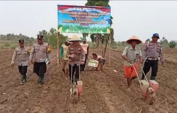 Gandeng Kelompok Tani, Polsek Jawilan Tanam Jagung&hellip;