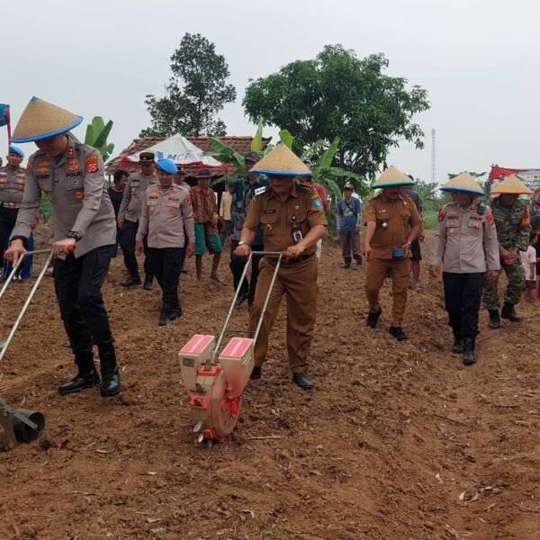 Dukung Swasembada Pangan, Kapolres Serang Tanam Jagung&hellip;