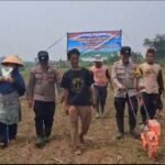 Polsek Jawilan Tanam Jagung di Lahan 20 Hektare, Dukung Program Swasembada Pangan Nasional
